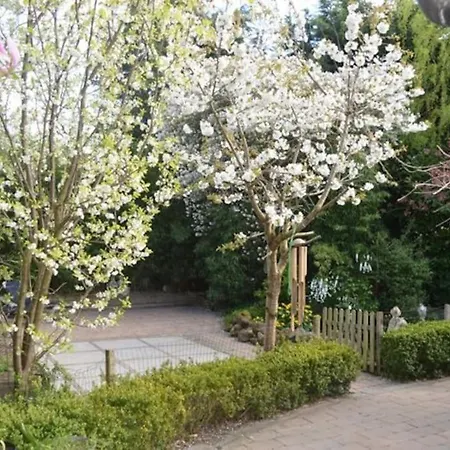 Holiday home Balistyle Incl Jacuzzi Near Amsterdam And Schiphol Vijfhuizen