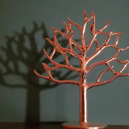 Balistyle Incl Jacuzzi Near Amsterdam And Schiphol 別荘