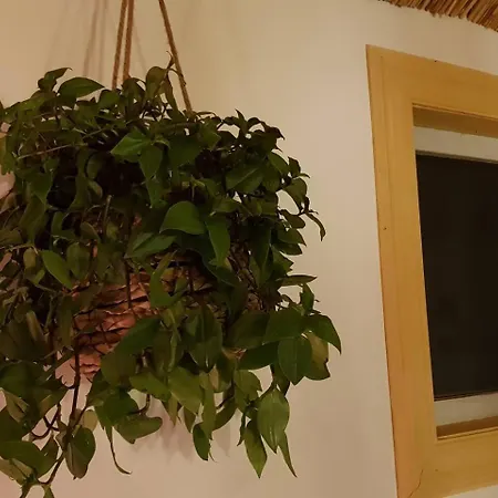 Balistyle Incl Jacuzzi Near Amsterdam And Schiphol 別荘 Vijfhuizen