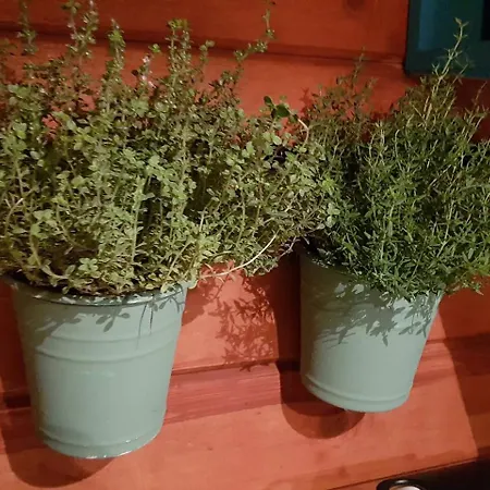 Balistyle Incl Jacuzzi Near Amsterdam And Schiphol 別荘 *