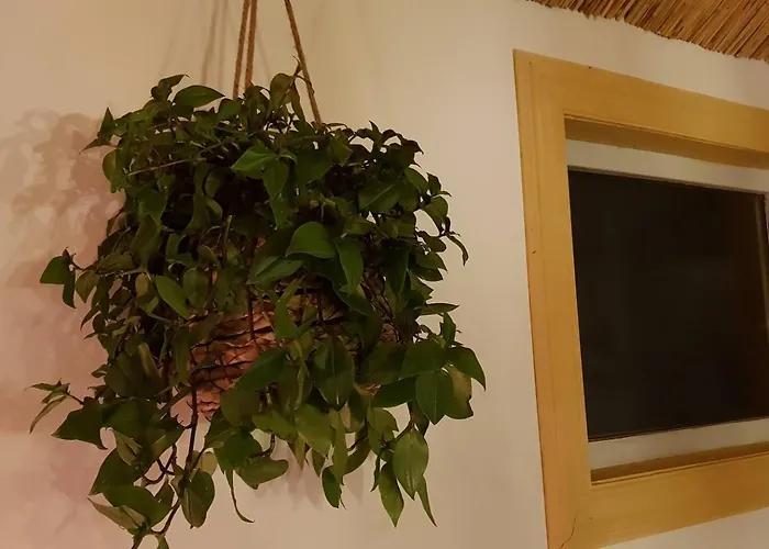 Balistyle Incl Jacuzzi Near Amsterdam And Schiphol 펜션 Vijfhuizen