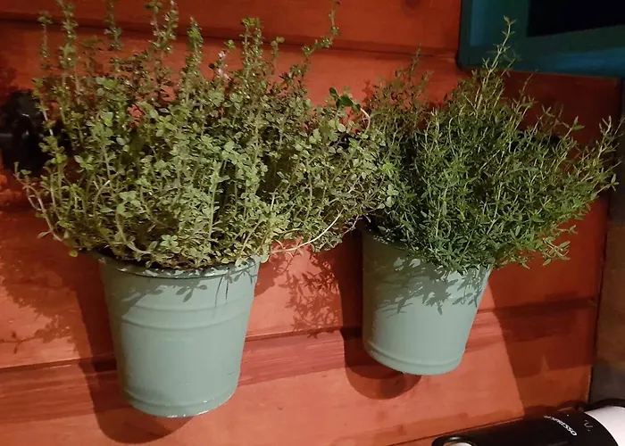 Balistyle Incl Jacuzzi Near Amsterdam And Schiphol 펜션 *